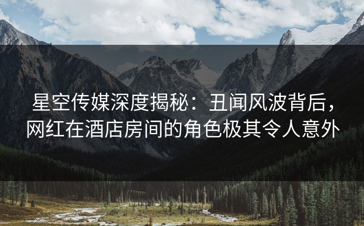 星空传媒深度揭秘：丑闻风波背后，网红在酒店房间的角色极其令人意外
