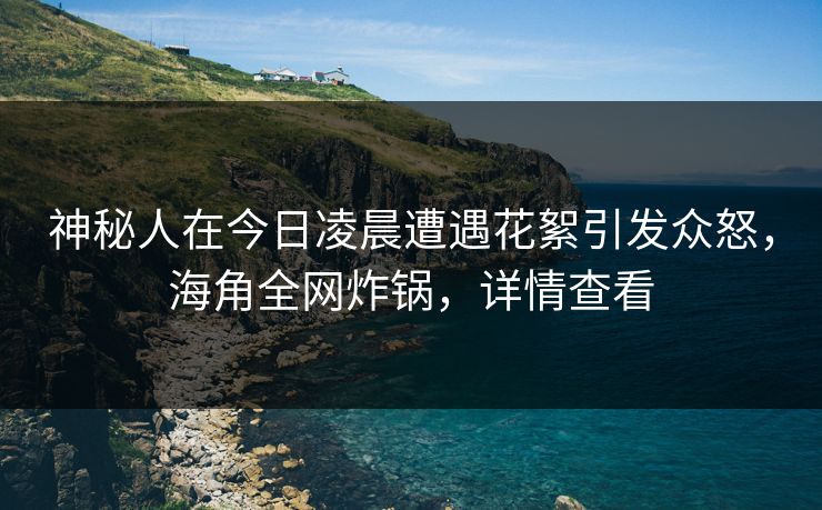 神秘人在今日凌晨遭遇花絮引发众怒，海角全网炸锅，详情查看