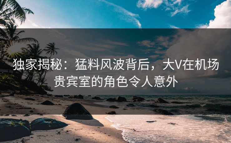 独家揭秘：猛料风波背后，大V在机场贵宾室的角色令人意外