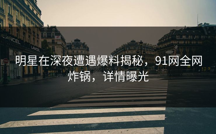 明星在深夜遭遇爆料揭秘，91网全网炸锅，详情曝光