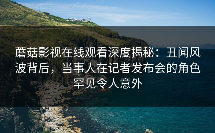 蘑菇影视在线观看深度揭秘：丑闻风波背后，当事人在记者发布会的角色罕见令人意外