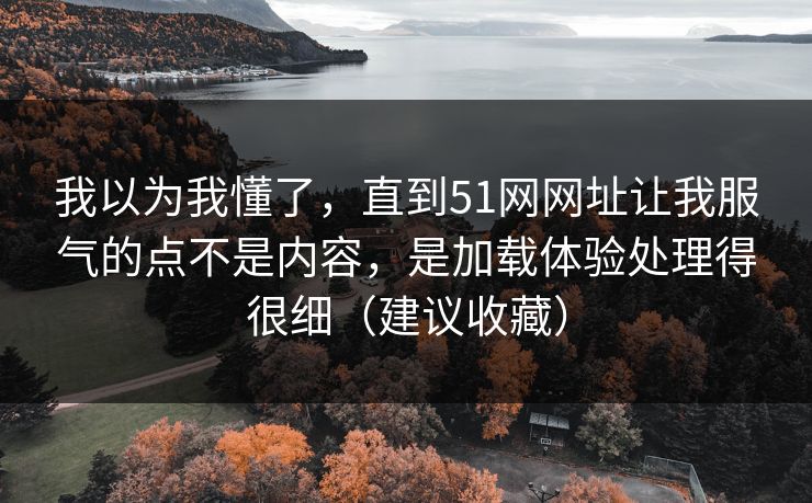 我以为我懂了，直到51网网址让我服气的点不是内容，是加载体验处理得很细（建议收藏）